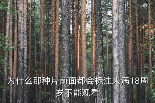 18歲禁播，為什么那種片前面都會(huì)標(biāo)注未滿18周歲不能觀看
