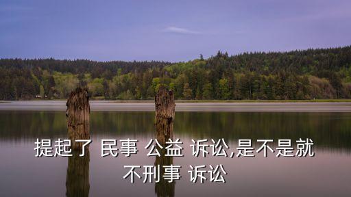 提起了 民事 公益 訴訟,是不是就不刑事 訴訟