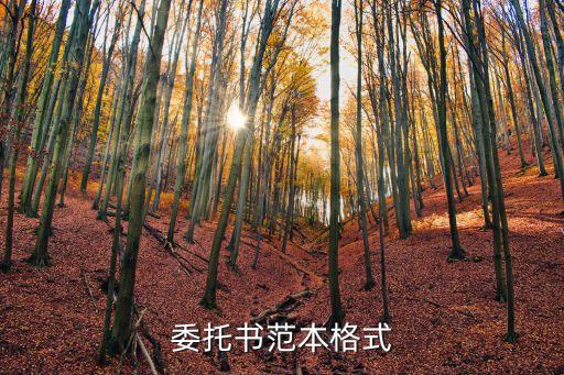 授權(quán)委托書樣本，授權(quán)書范本