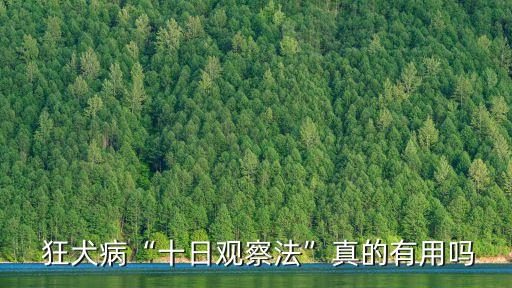 狂犬病疫苗價(jià)格,遼寧成大的狂犬病疫苗價(jià)格