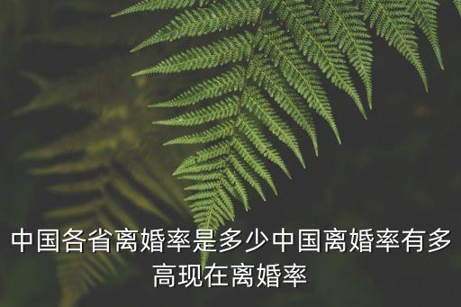 中國各省離婚率是多少中國離婚率有多高現(xiàn)在離婚率