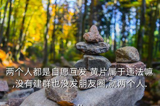 黃片群