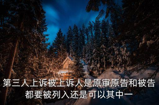 第三人上訴被上訴人是原審原告和被告都要被列入還是可以其中一