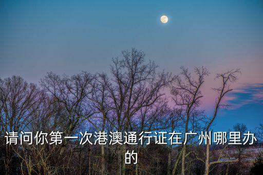 廣東省出入境網(wǎng)上預(yù)約