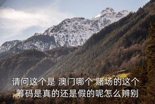 澳門賭場籌碼,2020澳門賭場籌碼形狀