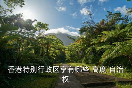 高度自治