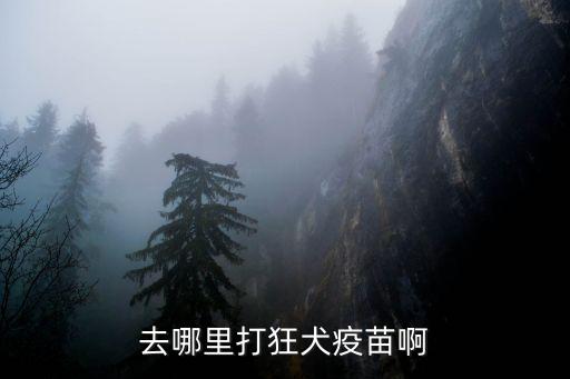 哪里能打狂犬疫苗，去哪里打狂犬疫苗啊