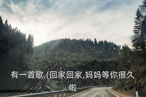 有一首歌,(回家回家,媽媽等你很久啦