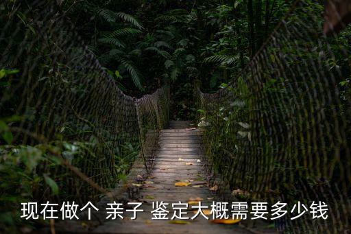 親子鑒定要多少費(fèi)用,做親子鑒定得多少錢費(fèi)用