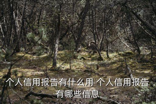 個(gè)人信用報(bào)告有什么用 個(gè)人信用報(bào)告有哪些信息