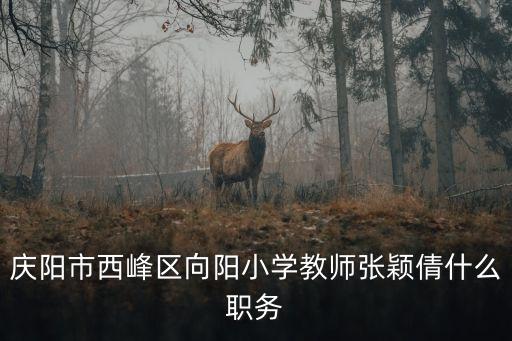 慶陽市西峰區(qū)向陽小學(xué)教師張穎倩什么職務(wù)