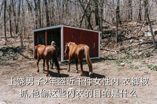 偷內(nèi)衣褲,偷盜女性內(nèi)衣褲拘留多少天