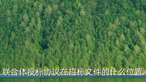 聯(lián)合體投標(biāo)協(xié)議在招標(biāo)文件的什么位置