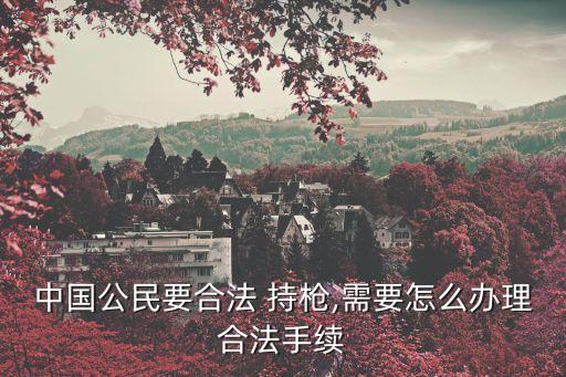 中國有持槍證嗎,中國合法防身槍