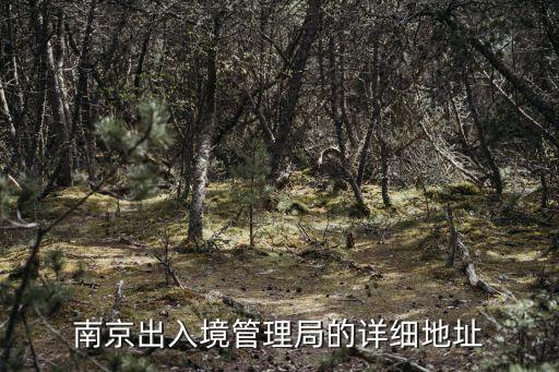 南京出入境管理局的詳細(xì)地址