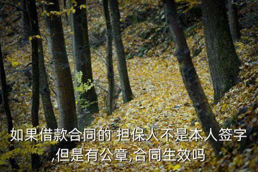 貸款擔(dān)保人免責(zé)協(xié)議書(shū),我被別人騙了做了擔(dān)保怎么辦