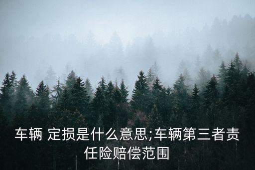 定損是什么意思,保險(xiǎn)公司定損是什么意思