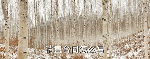 銷售合同范本，請(qǐng)大家提供一個(gè)設(shè)計(jì)好看的 銷售合同 樣板