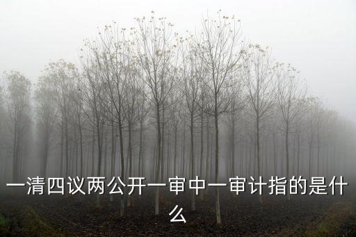 五議兩公開，一清四議兩公開一審中一審計(jì)指的是什么
