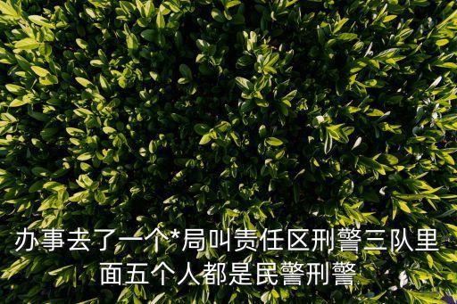 辦事去了一個*局叫責(zé)任區(qū)刑警三隊里面五個人都是民警刑警