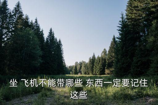 飛機上不能帶的東西有哪些,空運貨物怎么收費標準