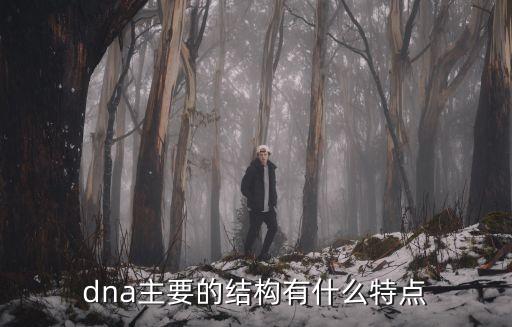 會(huì)是什么結(jié)構(gòu)，雖是什么結(jié)構(gòu)
