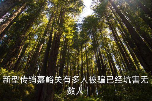 新型傳銷嘉峪關(guān)有多人被騙已經(jīng)坑害無(wú)數(shù)人
