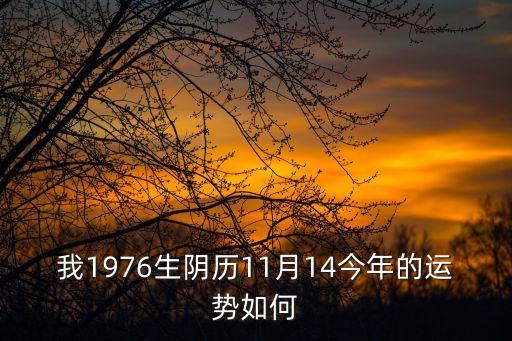我的1976，我是1976年陽歷11月3日出生的屬于什么命