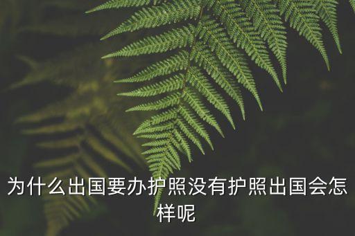 護(hù)照是什么，為什么出國(guó)要辦護(hù)照沒(méi)有護(hù)照出國(guó)會(huì)怎樣呢