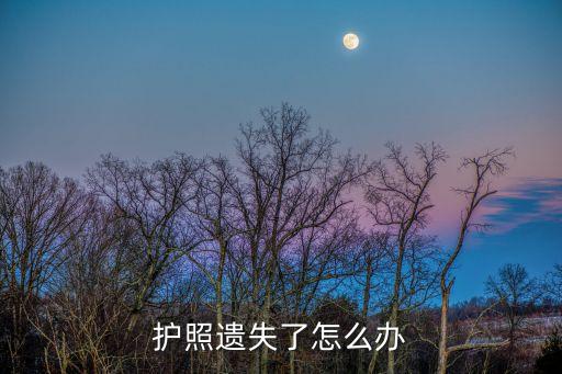 護(hù)照遺失了怎么辦