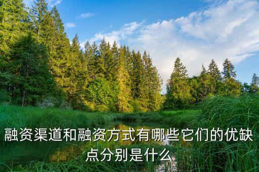出資方式有哪些，合伙企業(yè)出資方式有幾種