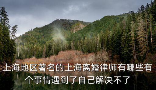 上海地區(qū)著名的上海離婚律師有哪些有個事情遇到了自己解決不了