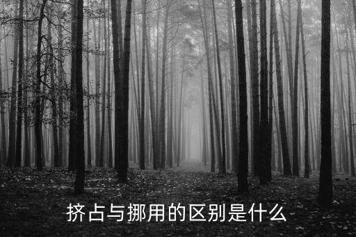 擠占，財(cái)務(wù)處理上擠占和虛列的區(qū)別是什么