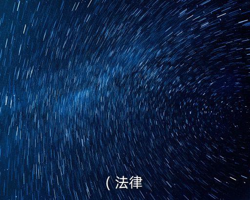 ( 法律