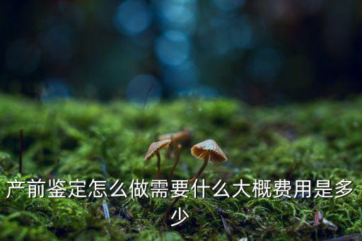 產(chǎn)前親子鑒定，產(chǎn)前的親子鑒定該怎么做哪里可以做呢