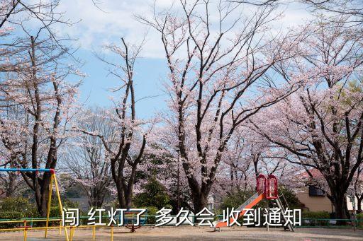 闖紅燈多久收到短信,正常情況下闖紅燈多久收到短信