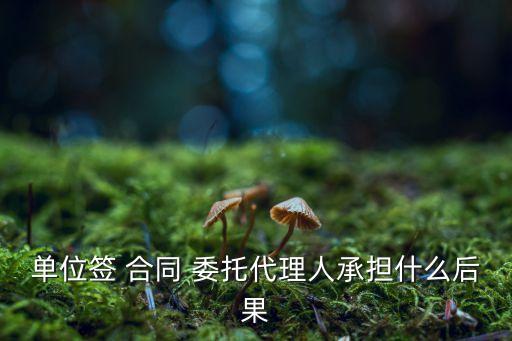委托合同法律風(fēng)險(xiǎn)怎么辦,商標(biāo)駁回復(fù)審委托合同法律風(fēng)險(xiǎn)