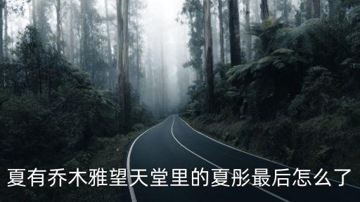 夏彤，夏彤是什么意思