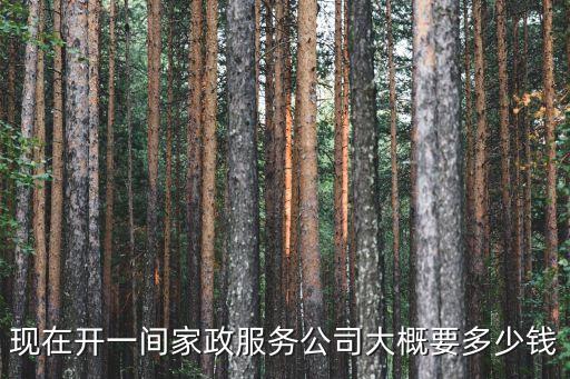 開一家家政需要多少錢，現(xiàn)在開一間家政服務(wù)公司大概要多少錢