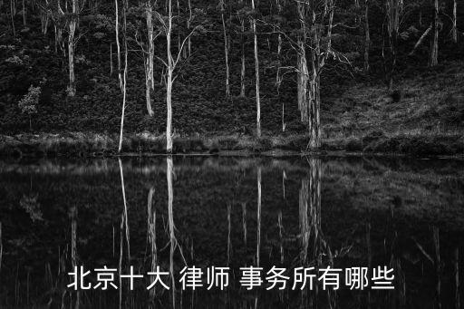 北京刑事律師事務所排名前十名,北京*案件罪專業(yè)律師