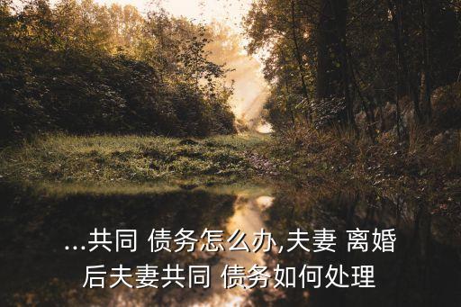 離婚有共同債務(wù)怎么辦,夫妻雙方有共同債務(wù)能離婚嗎