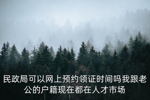 民政局網上預約，民政局可以網上預約領證時間嗎我跟老公的戶籍現(xiàn)在都在人才市場