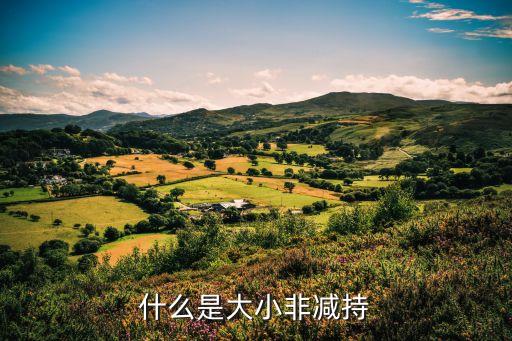什么是大小非減持