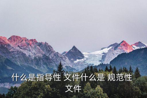 規(guī)范性文件