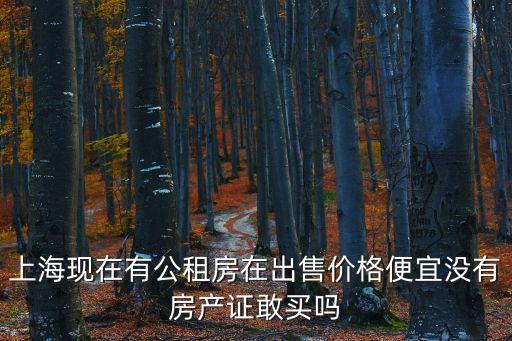上海公租房價格，上?，F(xiàn)在有公租房在出售價格便宜沒有房產(chǎn)證敢買嗎