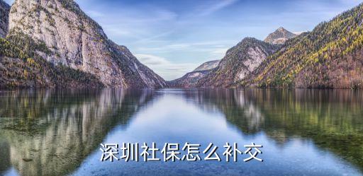 深圳社保怎么補(bǔ)交