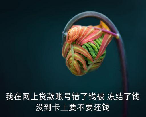 我在網(wǎng)上貸款賬號(hào)錯(cuò)了錢(qián)被 凍結(jié)了錢(qián)沒(méi)到卡上要不要還錢(qián)