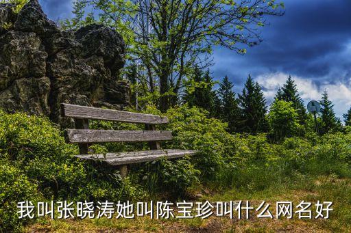 我叫張曉濤她叫陳寶珍叫什么網(wǎng)名好