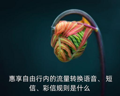  惠享自由行內(nèi)的流量轉(zhuǎn)換語(yǔ)音、 短信、彩信規(guī)則是什么