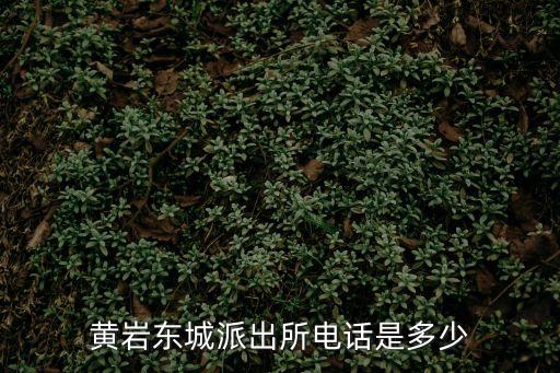 黃巖東城派出所電話是多少